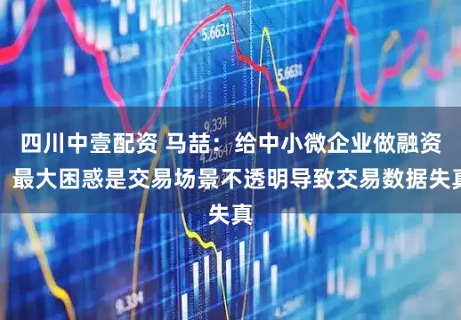四川中壹配资 马喆：给中小微企业做融资，最大困惑是交易场景不透明导致交易数据失真